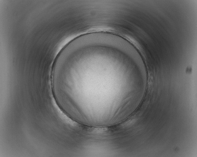 X0000114631055200911101232