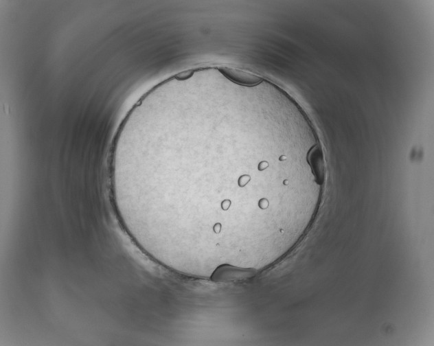 X0000114631056200911101232