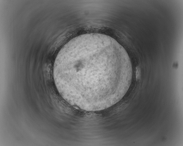 X0000114631059200911101231