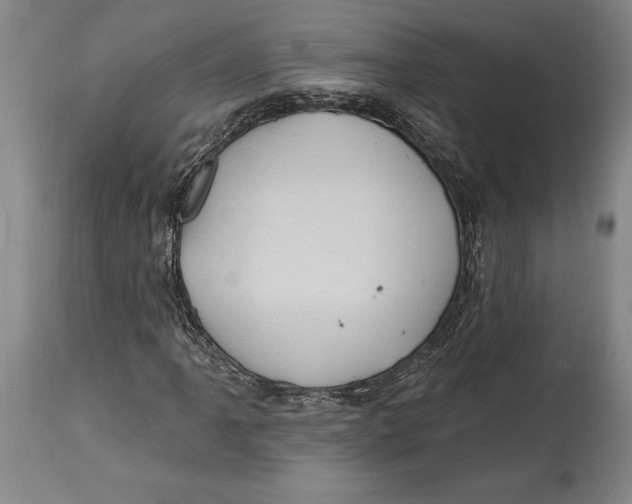 X0000114631061200911101231