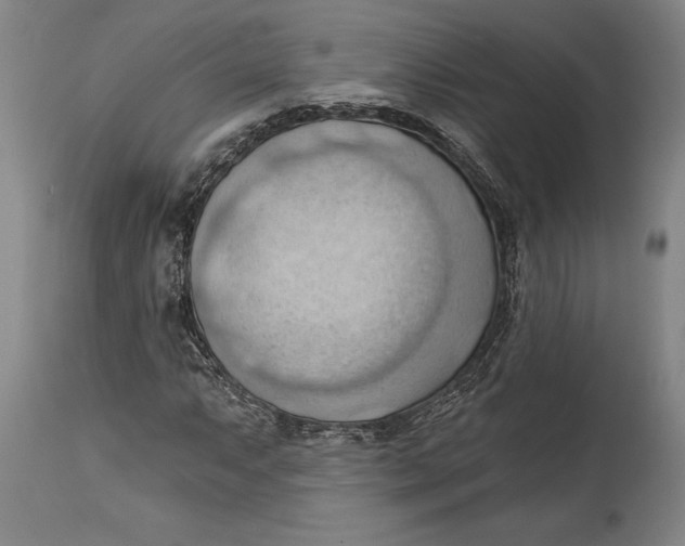 X0000114631063200911101231