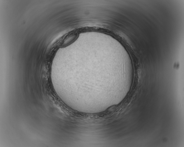 X0000114631064200911101231