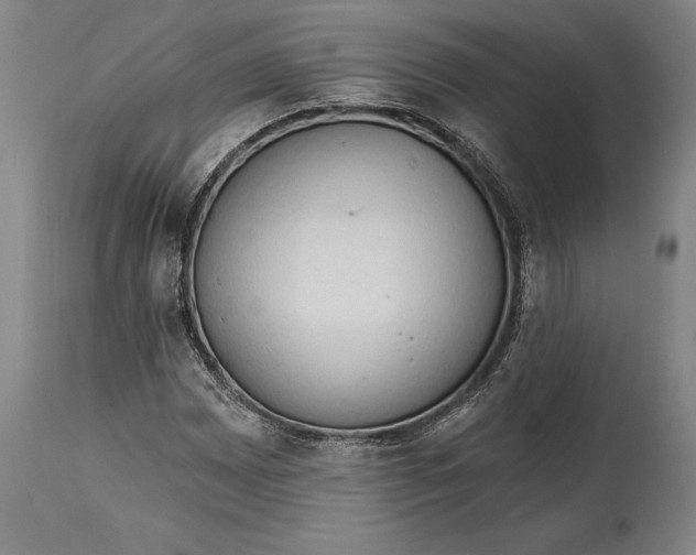 X0000114631065200911101231