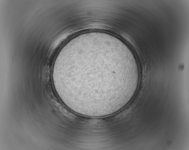 X0000114631067200911101231