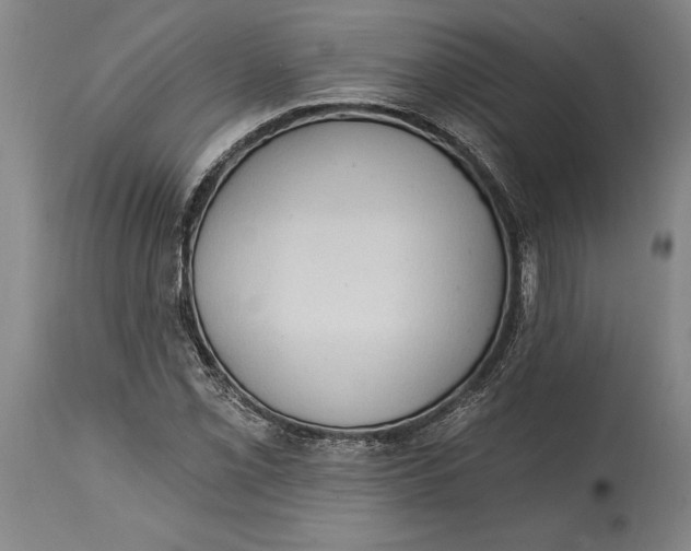 X0000114631069200911101231