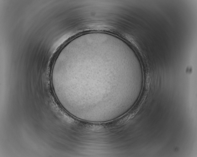 X0000114631071200911101231