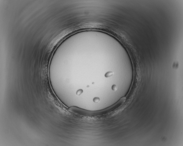 X0000114631073200911101231