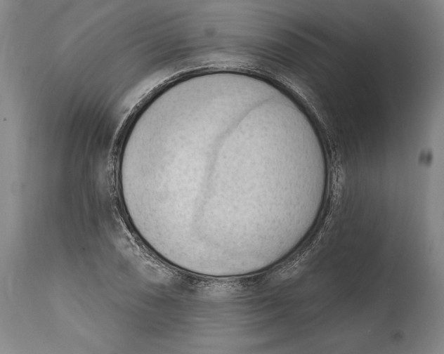 X0000114631074200911101231