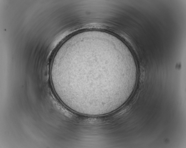 X0000114631075200911101231