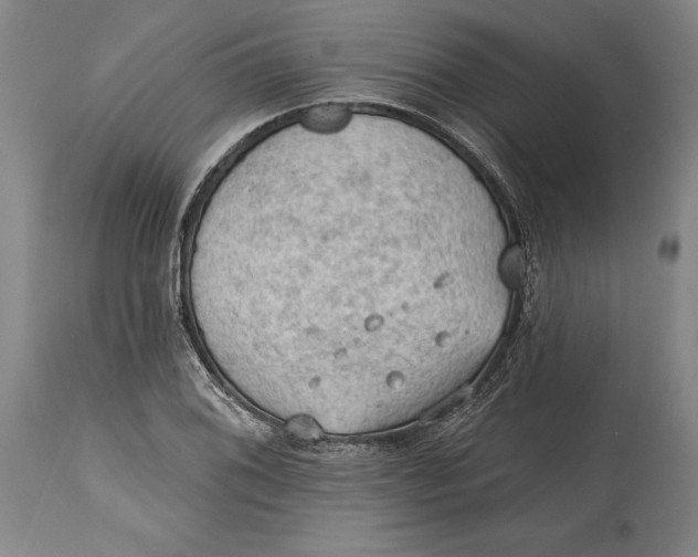 X0000114631076200911101231