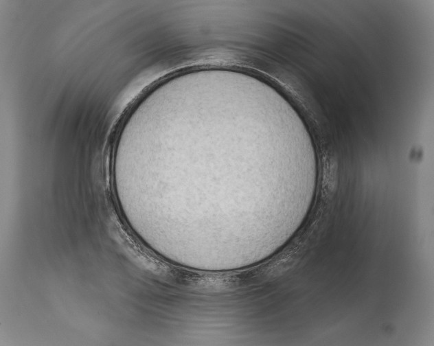 X0000114631078200911101231