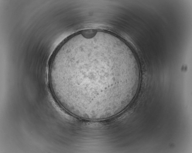 X0000114631079200911101231