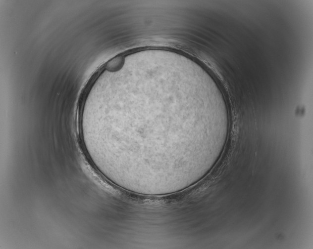 X0000114631080200911101231