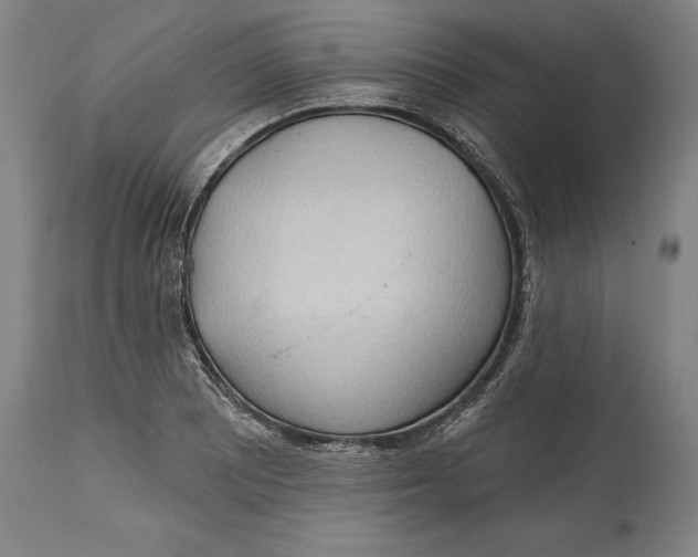 X0000114631081200911101231