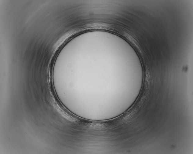 X0000114631082200911101231