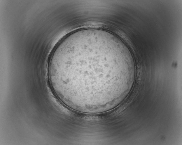 X0000114631083200911101231