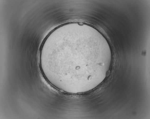 X0000114631084200911101231