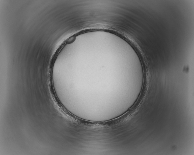 X0000114631085200911101231