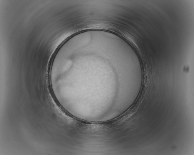 X0000114631087200911101231