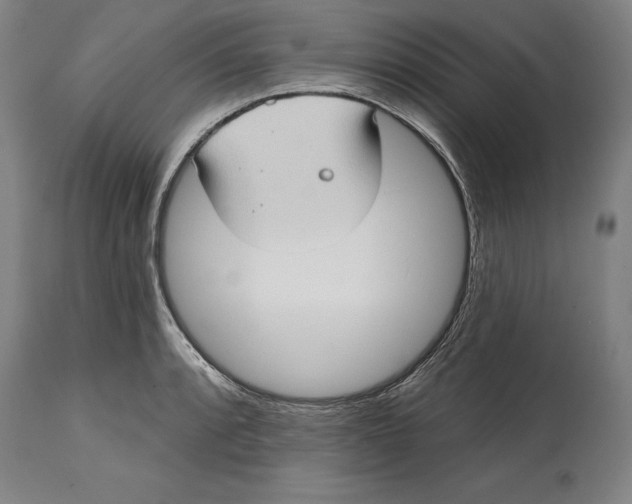 X0000114631088200911101231