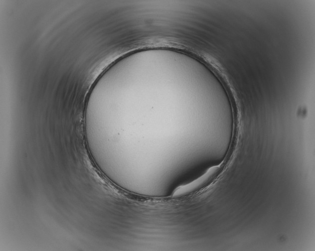 X0000114631089200911101231