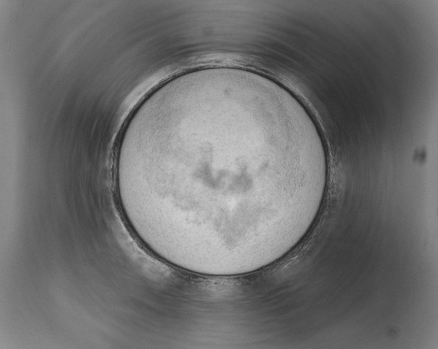 X0000114631090200911101231