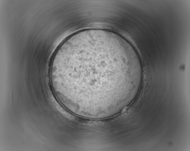 X0000114631091200911101231