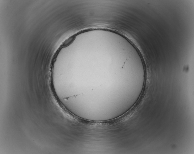 X0000114631093200911101231