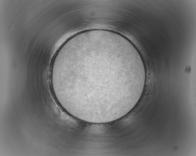 X0000114631094200911101231