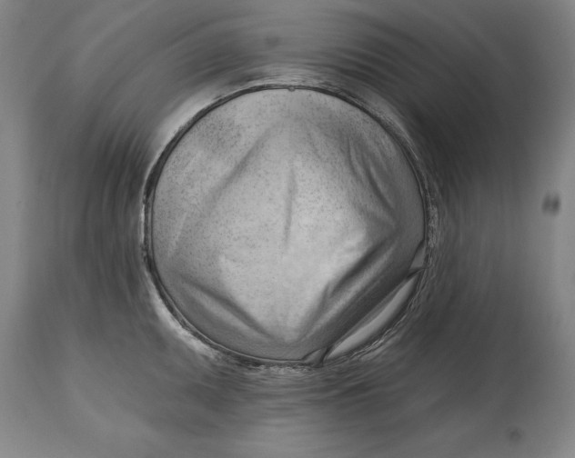 X0000114631095200911101231