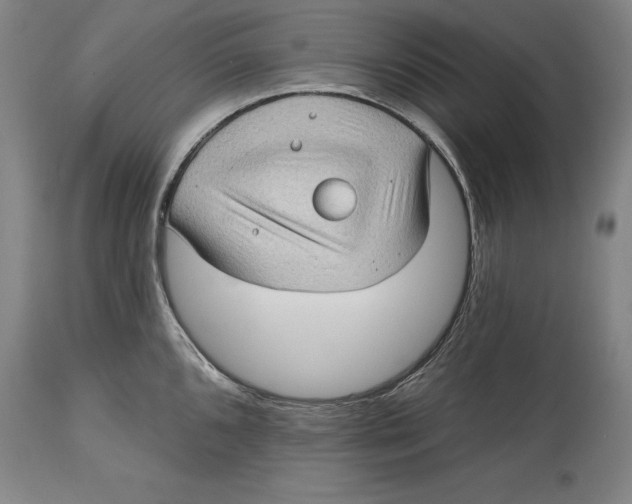 X0000114631096200911101231