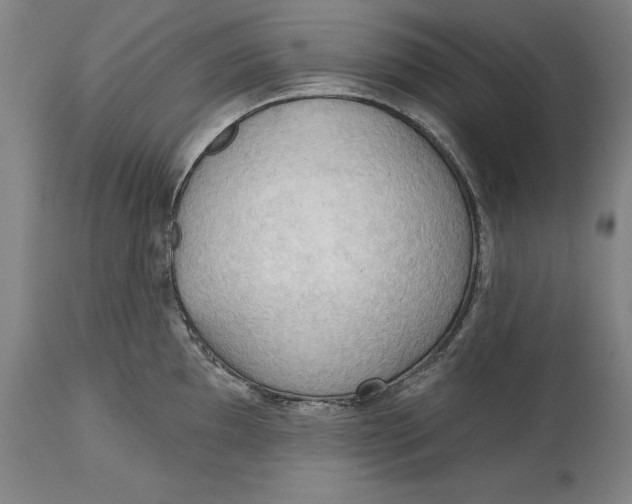 X0000114631097200911101231