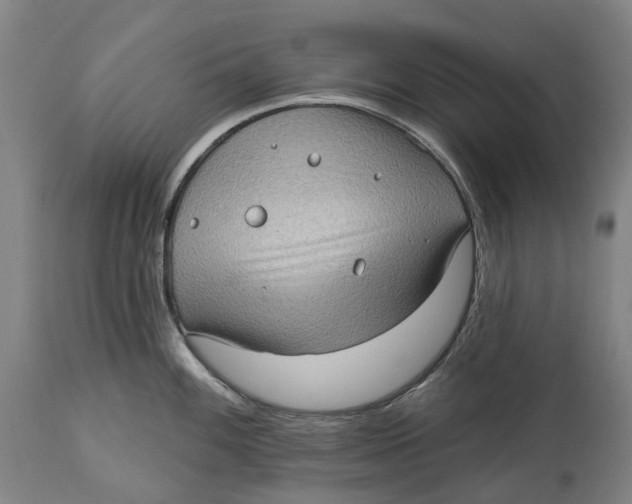 X0000114631100200911101231