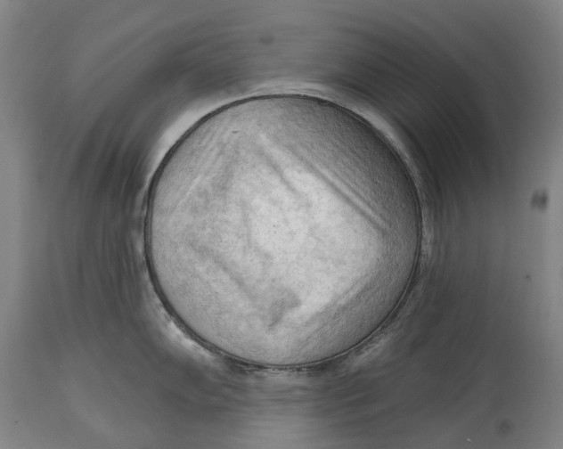 X0000114631102200911101231