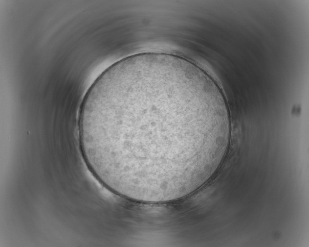 X0000114631103200911101231