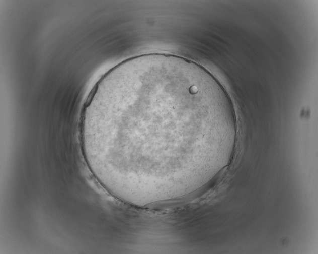 X0000114631104200911101231