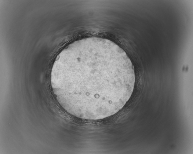 X0000114631105200911101230