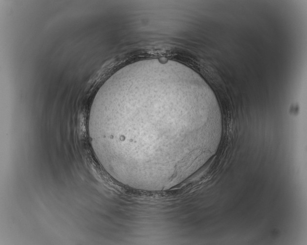 X0000114631106200911101230