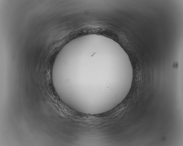 X0000114631109200911101230