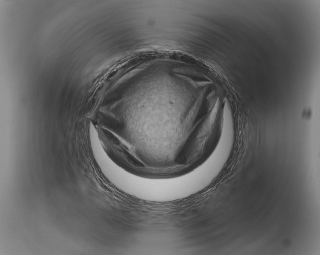 X0000114631110200911101230