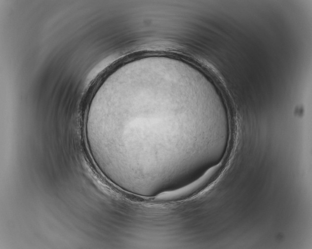 X0000114631114200911101230