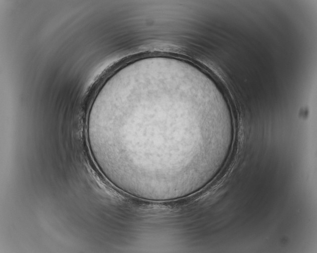 X0000114631115200911101230