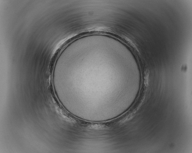 X0000114631117200911101230