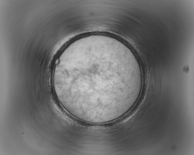 X0000114631118200911101230