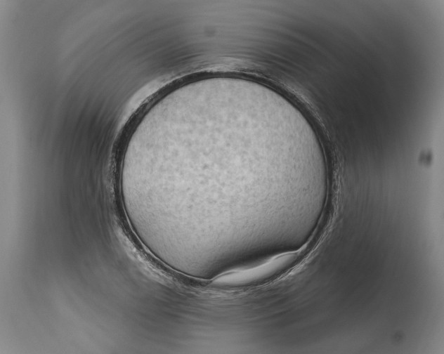 X0000114631122200911101230