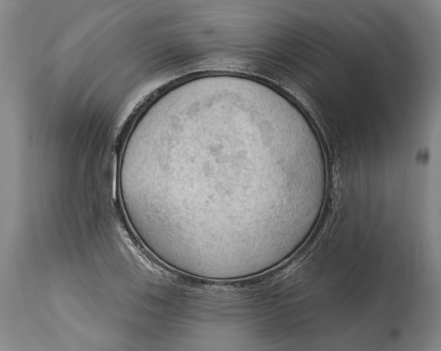 X0000114631123200911101230