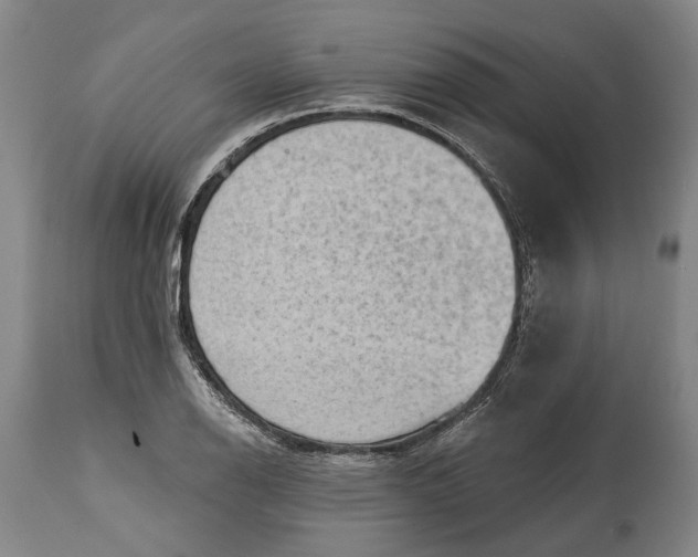 X0000114631126200911101230