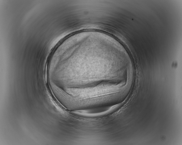 X0000114631127200911101230