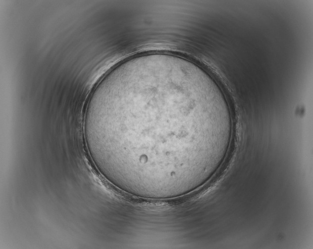 X0000114631129200911101231