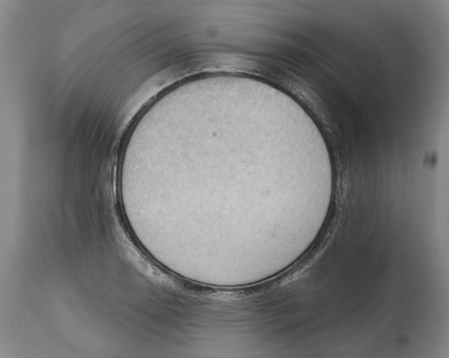 X0000114631130200911101231